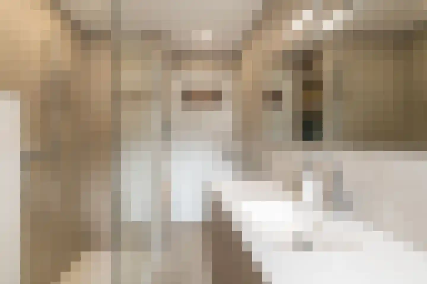 Volderstraat 21 Meerssen thumbnail 4