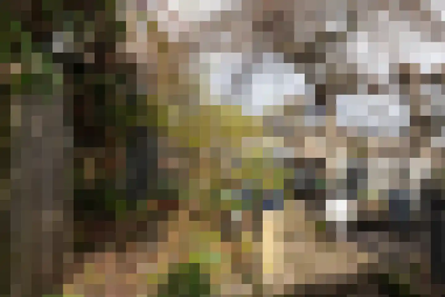 Volderstraat 21 Meerssen thumbnail 5