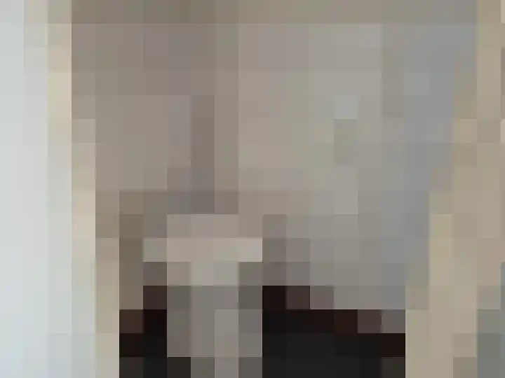 Volderstraat 24 Hoogeloon thumbnail 7