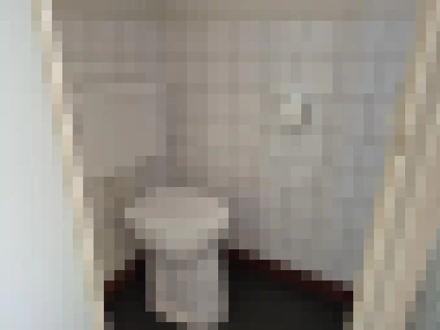 Volderstraat 24 Hoogeloon thumbnail 7