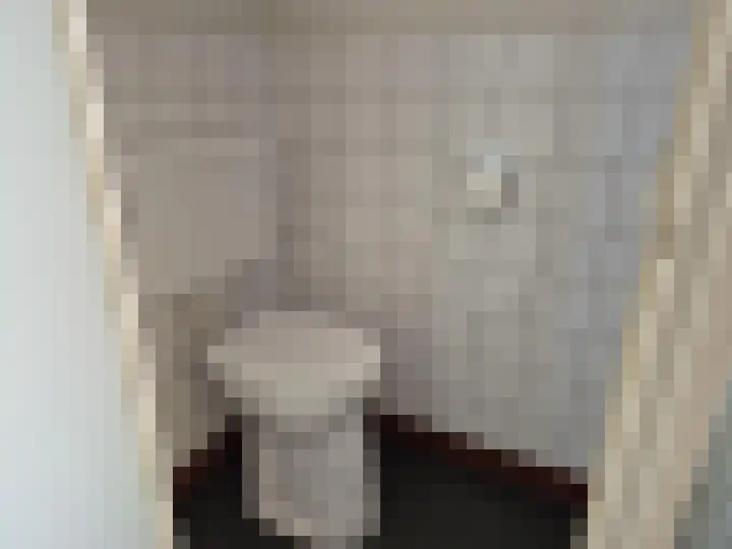 Volderstraat 24 Hoogeloon thumbnail 7