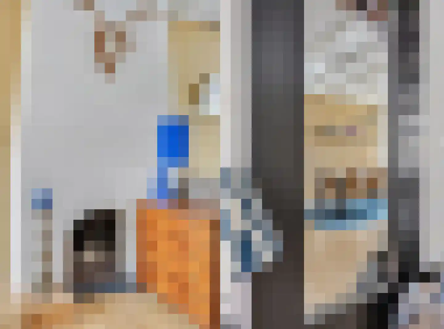 Volderstraat 31 Wijk bij Duurstede thumbnail 10