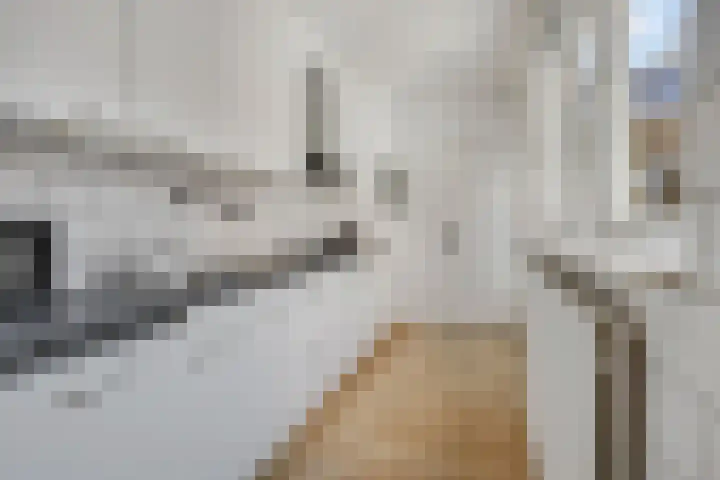 Volderstraat 31 Wijk bij Duurstede thumbnail 11