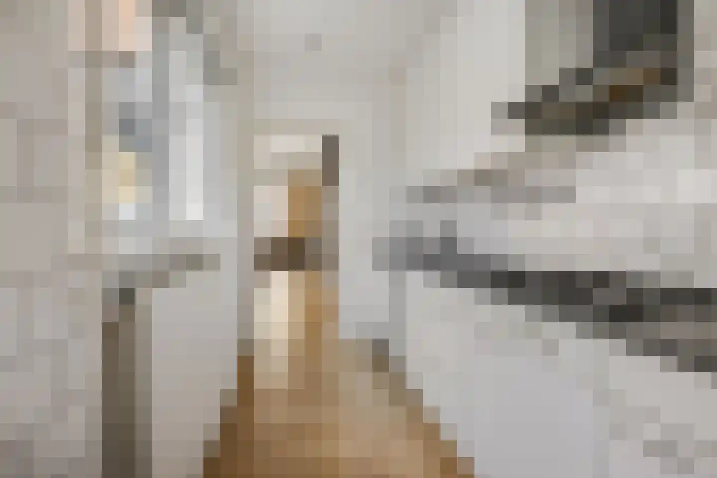 Volderstraat 31 Wijk bij Duurstede thumbnail 12