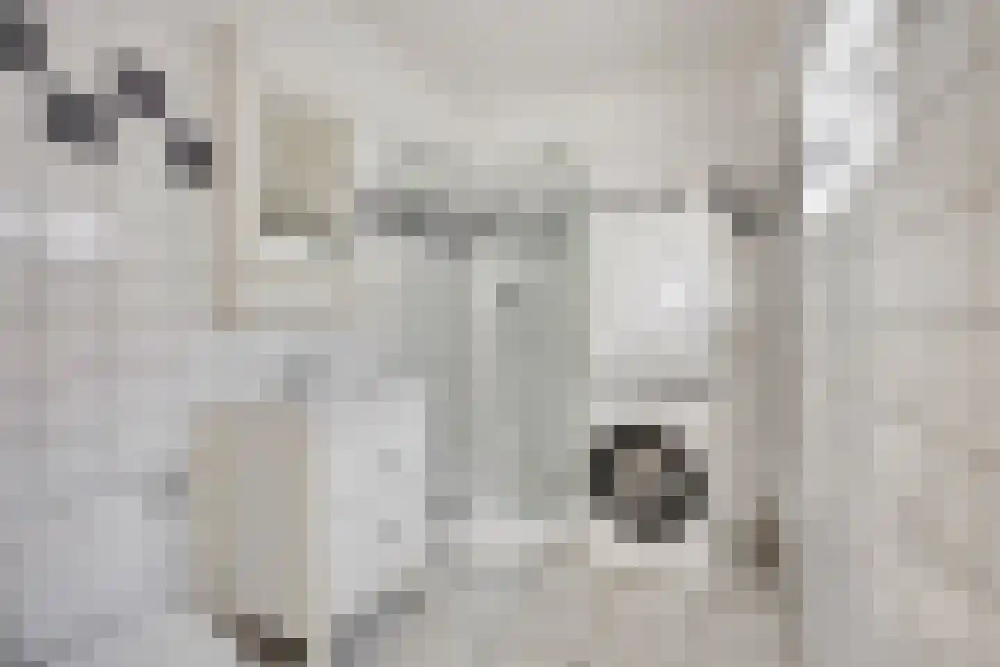 Volderstraat 31 Wijk bij Duurstede thumbnail 15