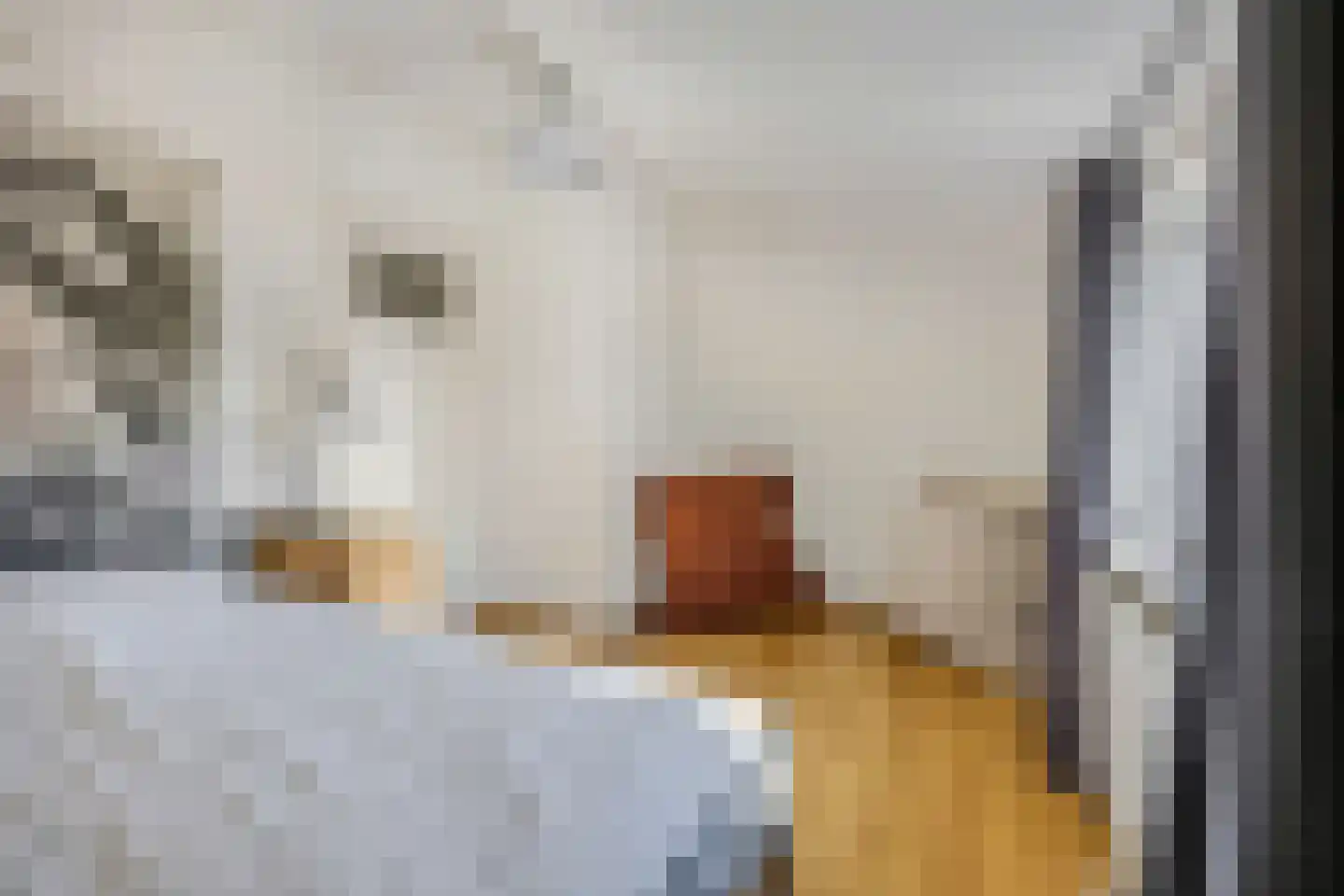 Volderstraat 31 Wijk bij Duurstede thumbnail 25