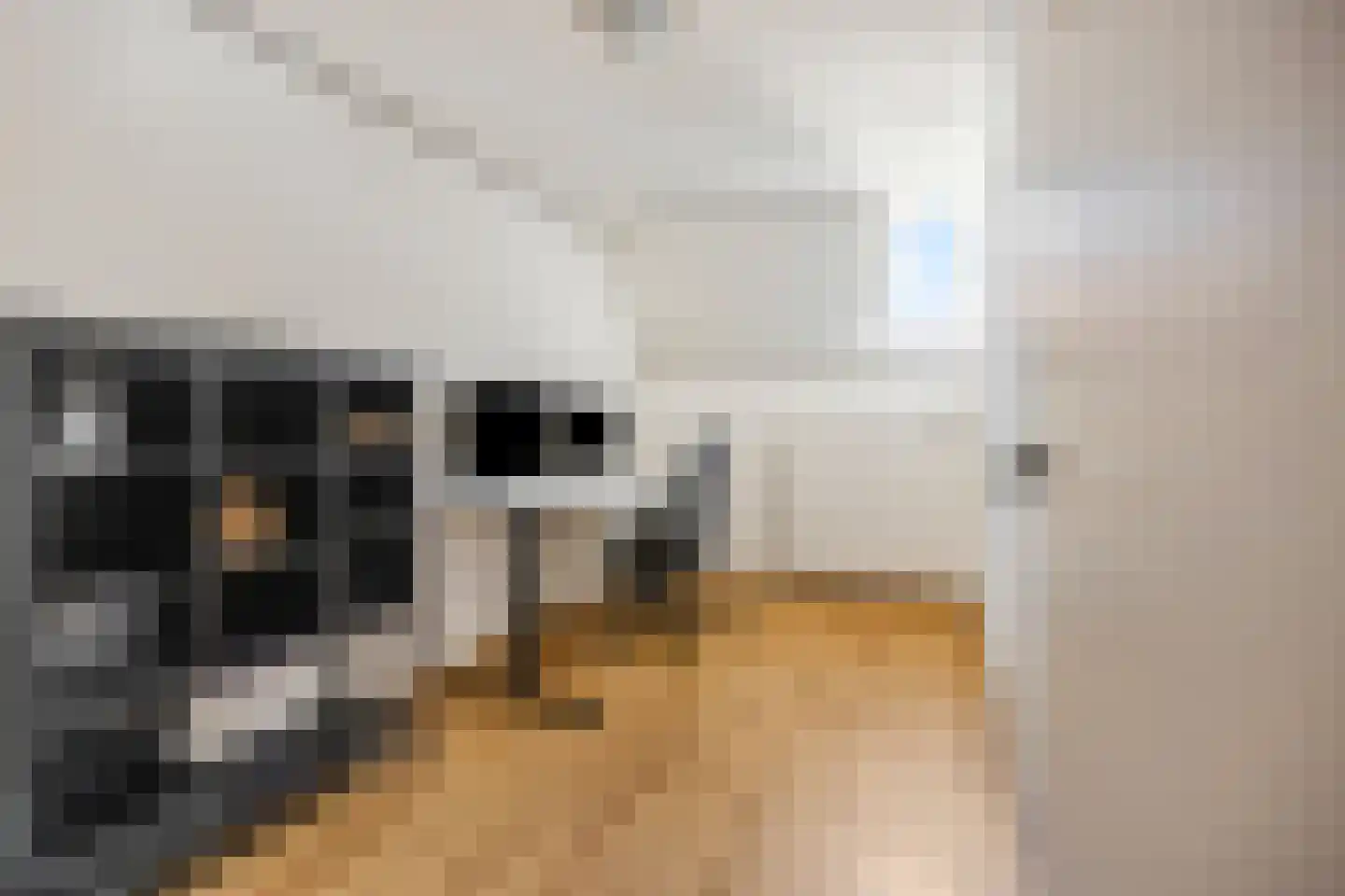 Volderstraat 31 Wijk bij Duurstede thumbnail 28
