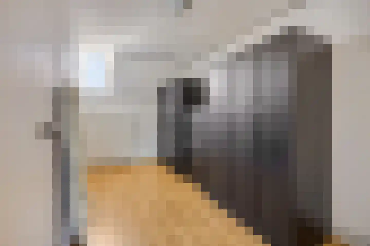 Volderstraat 31 Wijk bij Duurstede thumbnail 30