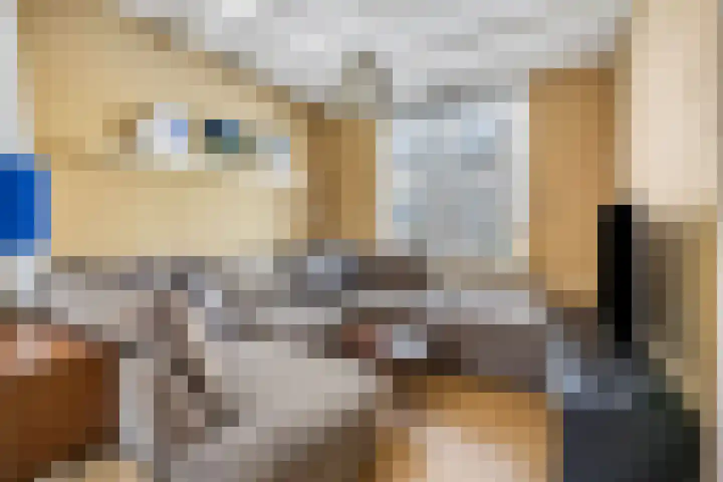 Volderstraat 31 Wijk bij Duurstede thumbnail 5
