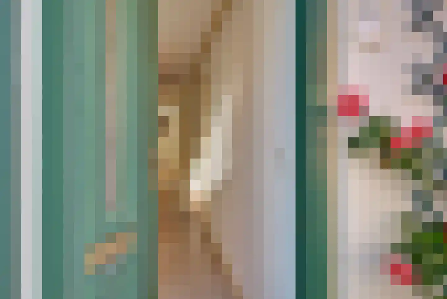 Volderstraat 33 Wijk bij Duurstede thumbnail 16