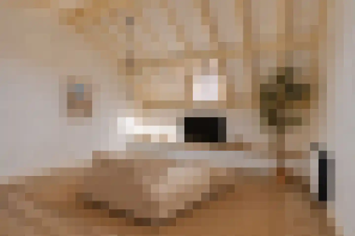 Volderstraat 33 Wijk bij Duurstede thumbnail 21