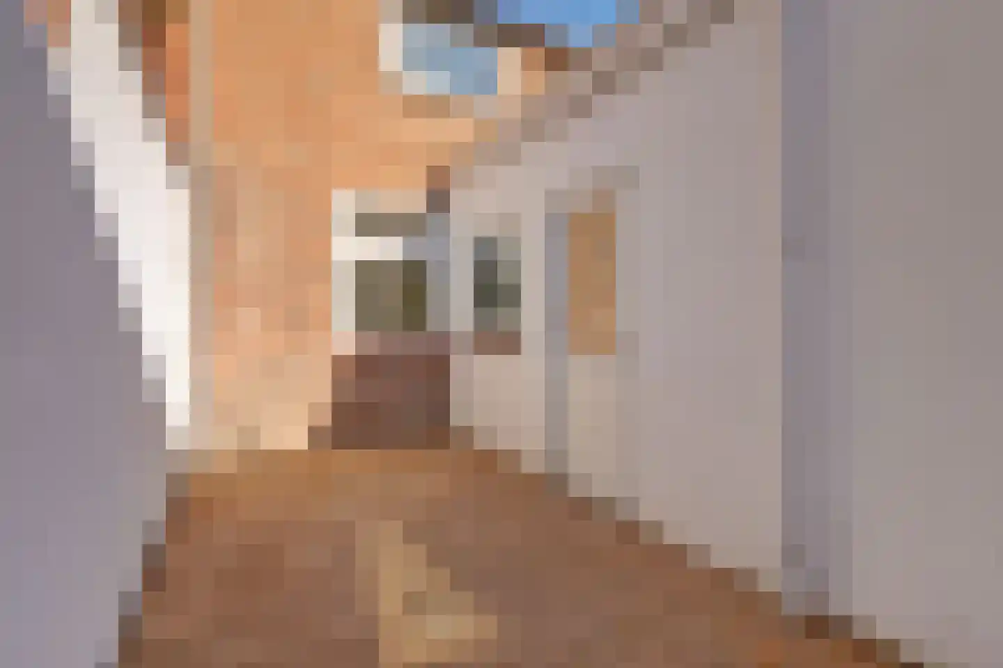 Volderstraat 33 Wijk bij Duurstede thumbnail 28