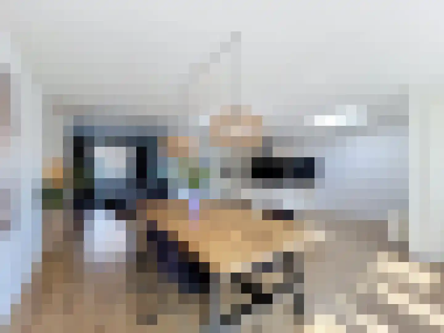 Volderstraat 4 Oostburg thumbnail 13