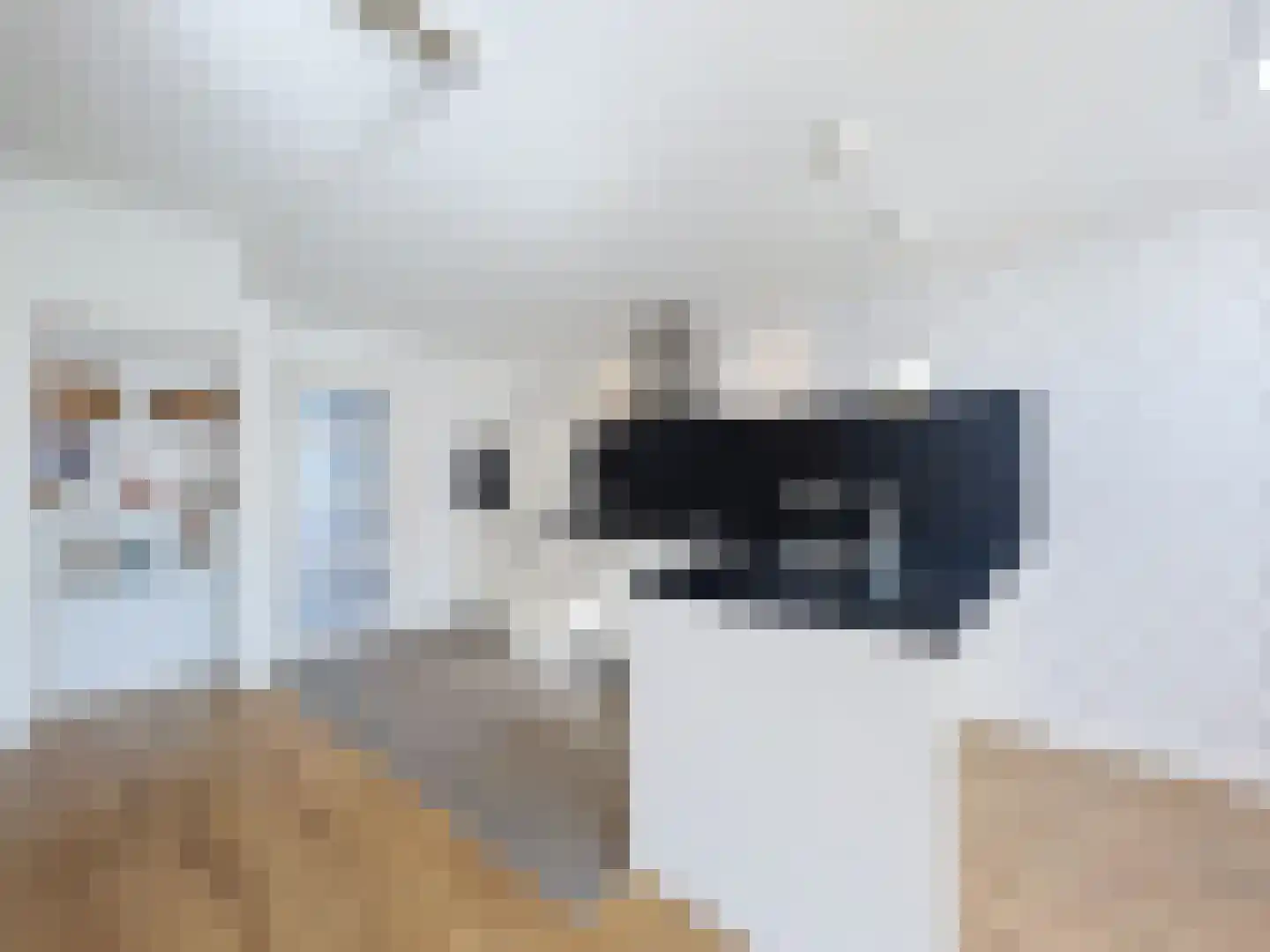 Volderstraat 4 Oostburg thumbnail 6