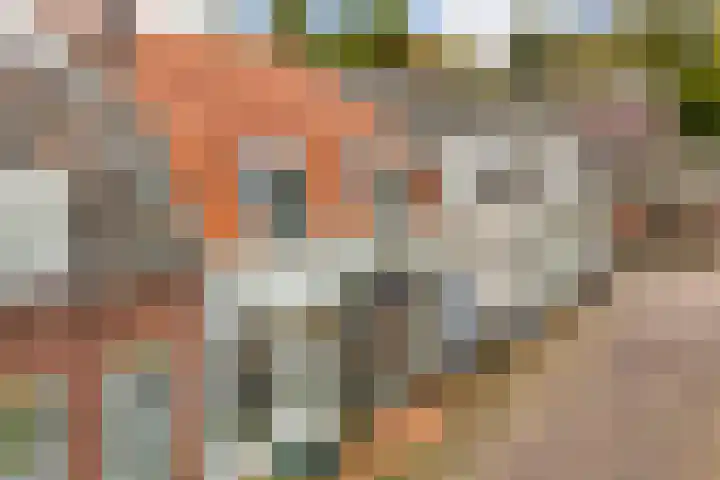 Volderstraat 45 Wijk bij Duurstede thumbnail 33