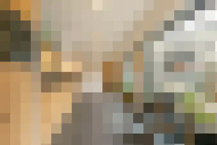Volderstraat 45 Wijk bij Duurstede thumbnail 9