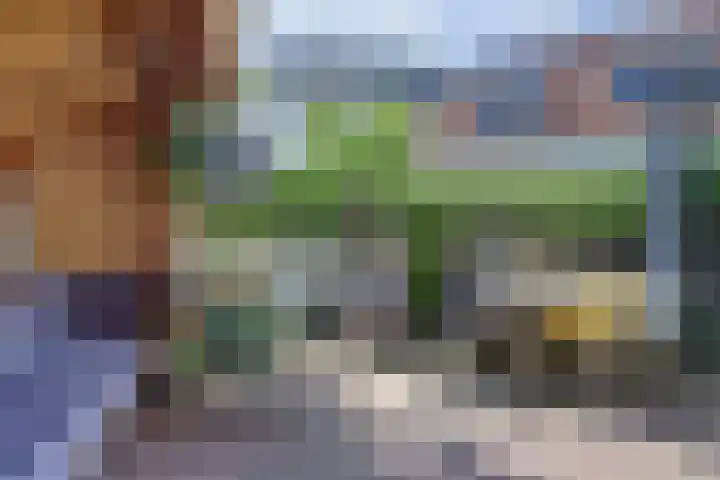 Volderstraat 46 Wijk bij Duurstede thumbnail 37