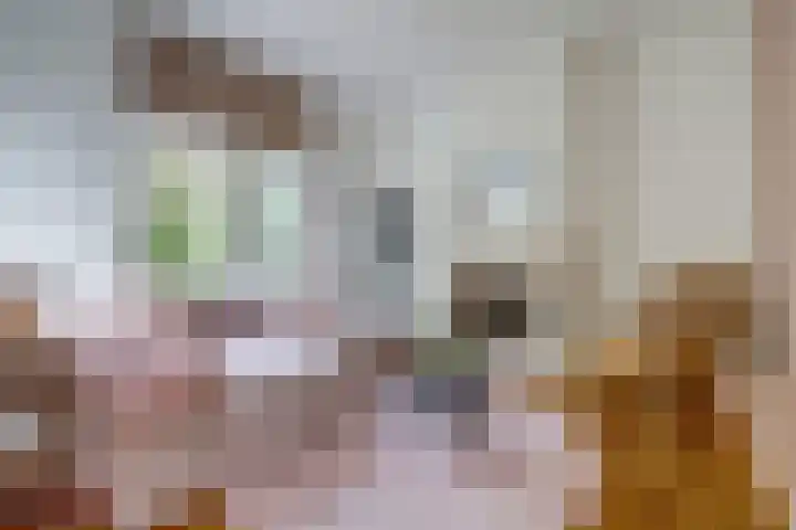 Volderstraat 46 Wijk bij Duurstede thumbnail 4