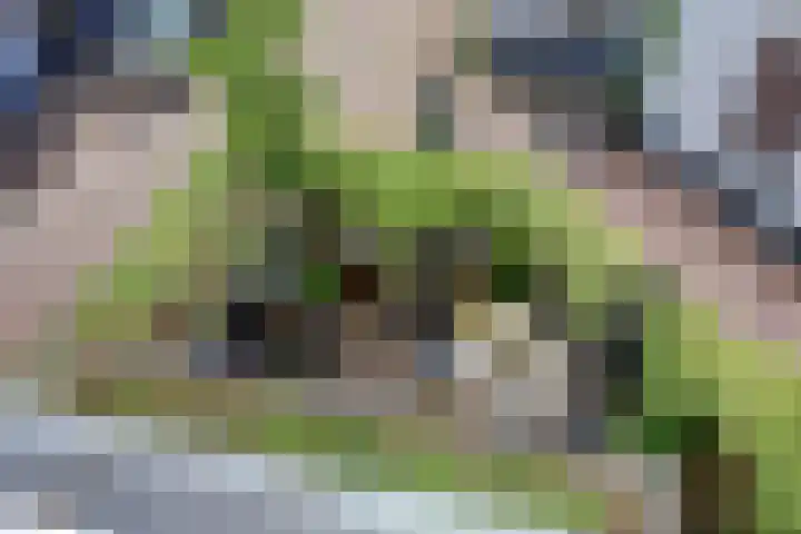 Volderstraat 46 Wijk bij Duurstede thumbnail 41
