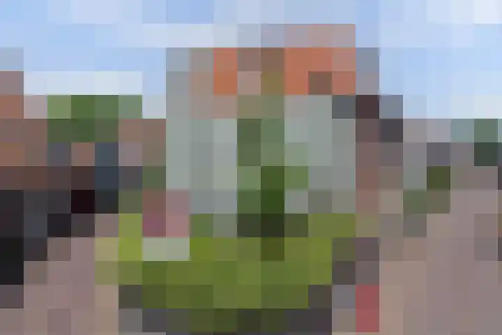 Volderstraat 46 Wijk bij Duurstede thumbnail 47
