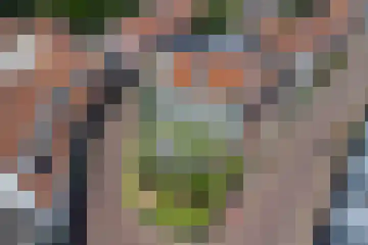 Volderstraat 46 Wijk bij Duurstede thumbnail 48