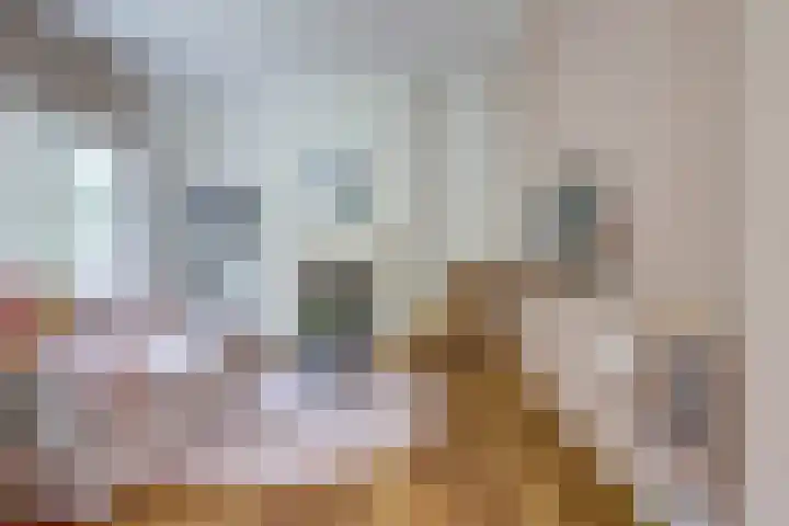 Volderstraat 46 Wijk bij Duurstede thumbnail 5