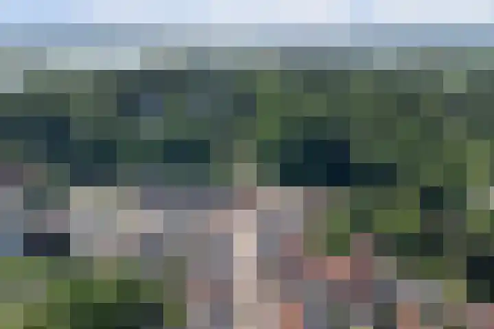 Volderstraat 46 Wijk bij Duurstede thumbnail 53