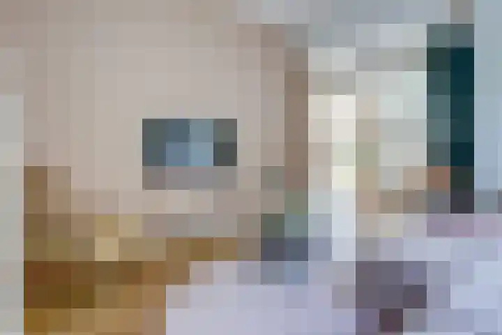 Volderstraat 46 Wijk bij Duurstede thumbnail 7