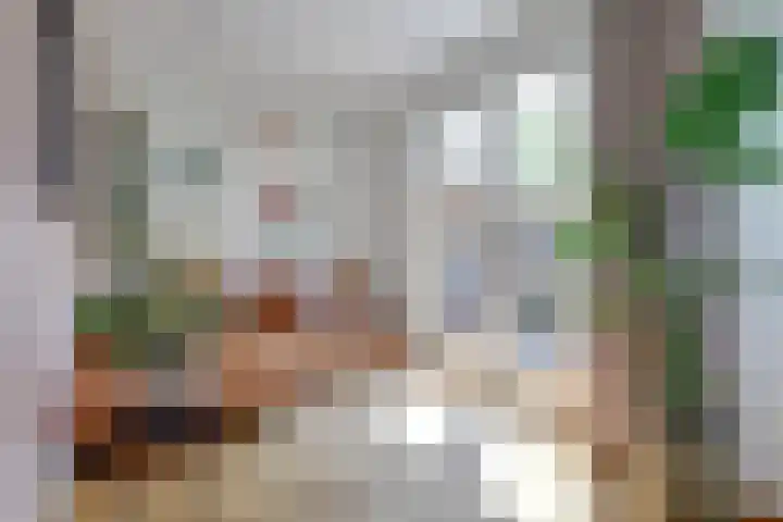 Volderstraat 46 Wijk bij Duurstede thumbnail 8