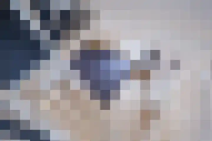 Volderstraat 8 Hoogeloon thumbnail 27