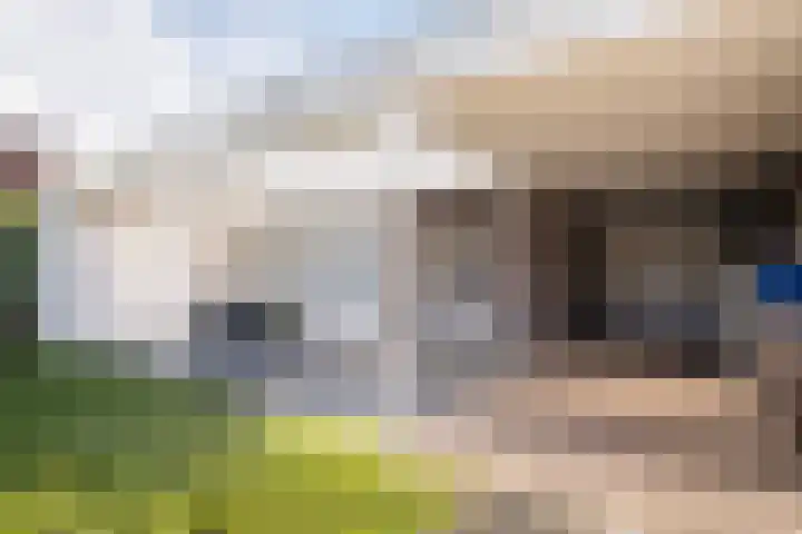 Volderstraat 8 Hoogeloon thumbnail 33