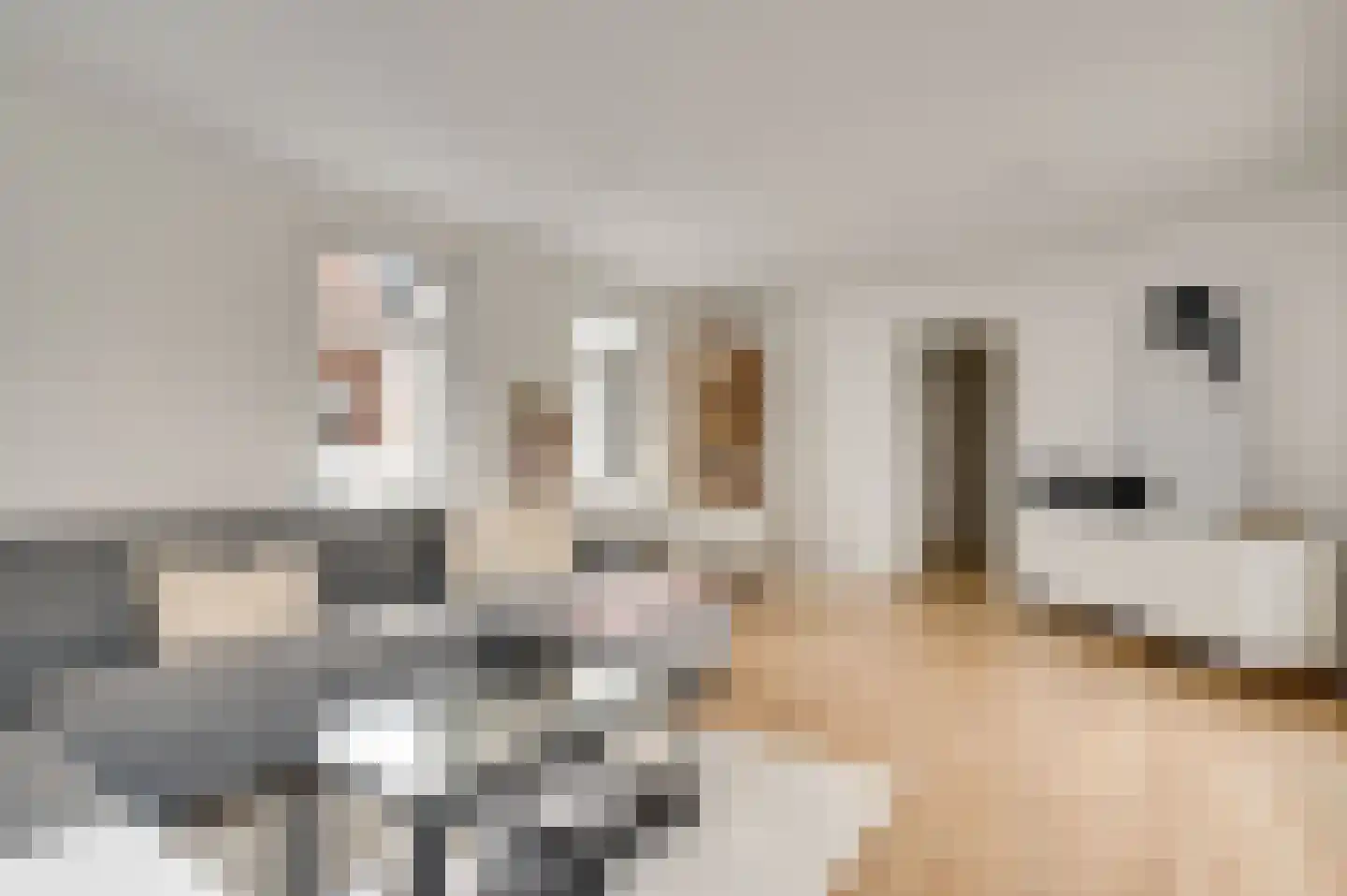 Volderstraat 9 Meerssen thumbnail 11