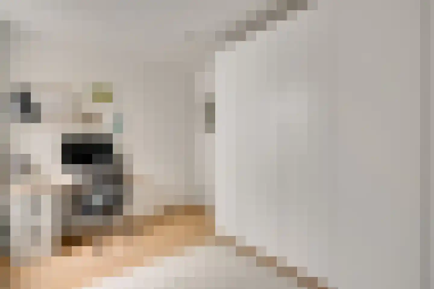Volderstraat 9 Meerssen thumbnail 13