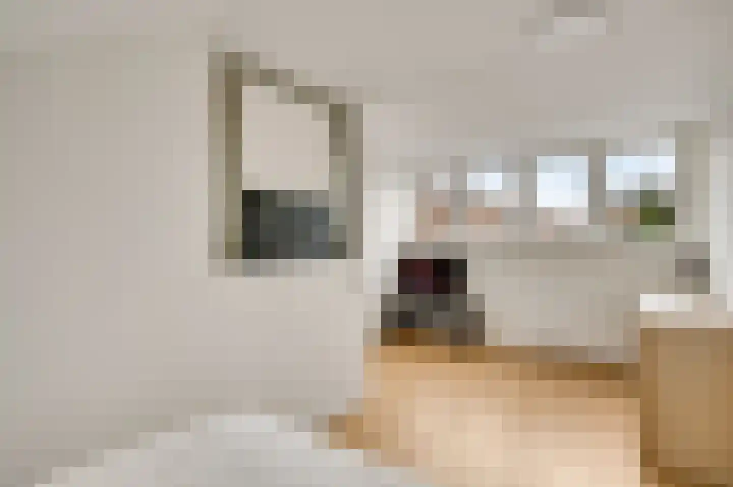 Volderstraat 9 Meerssen thumbnail 19