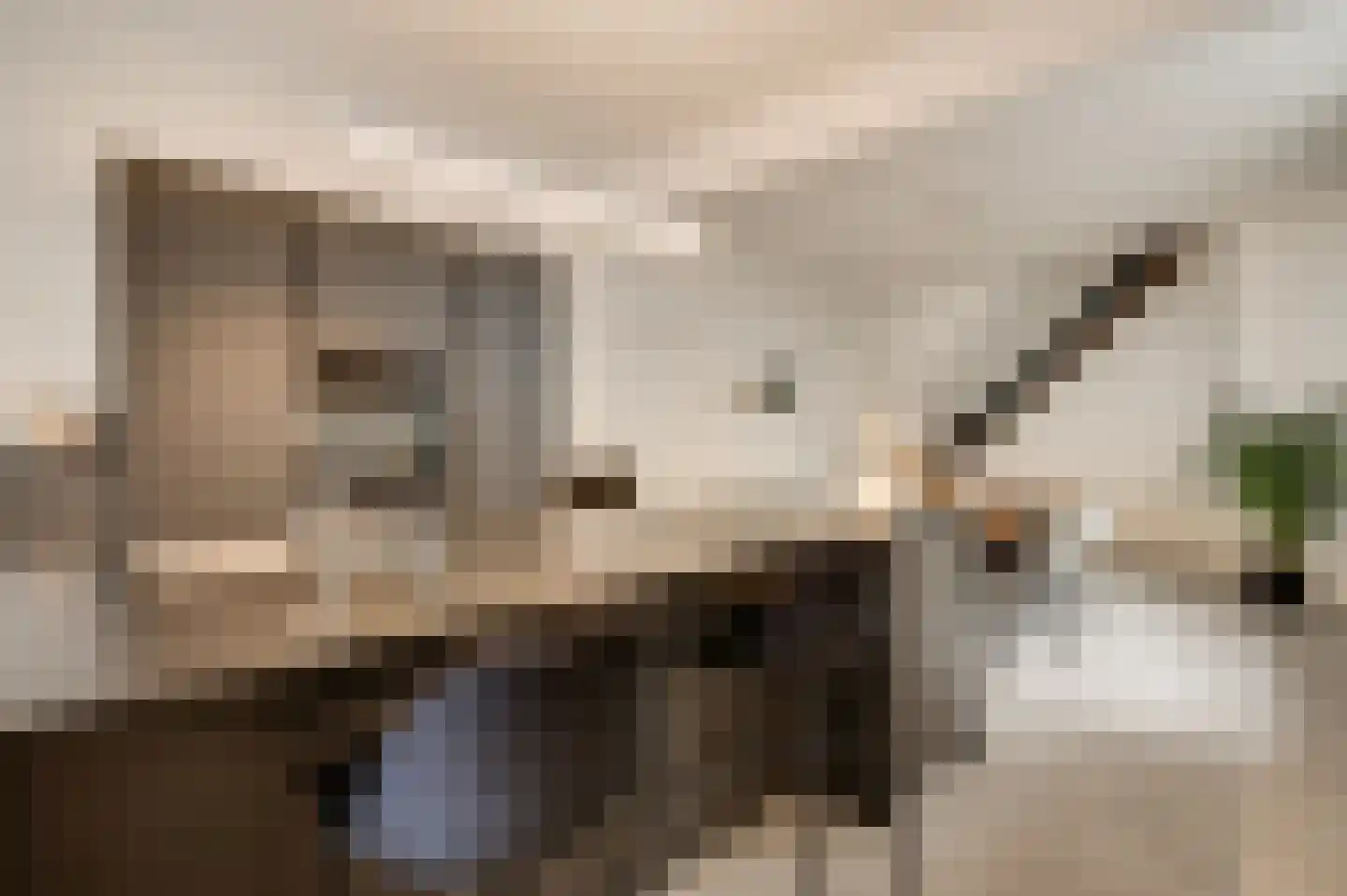 Volderstraat 9 Meerssen thumbnail 6