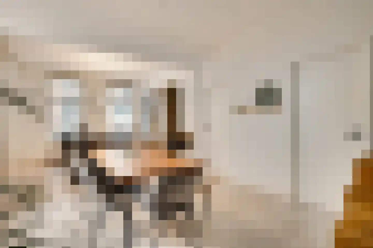 Volderstraat 9 Meerssen thumbnail 8
