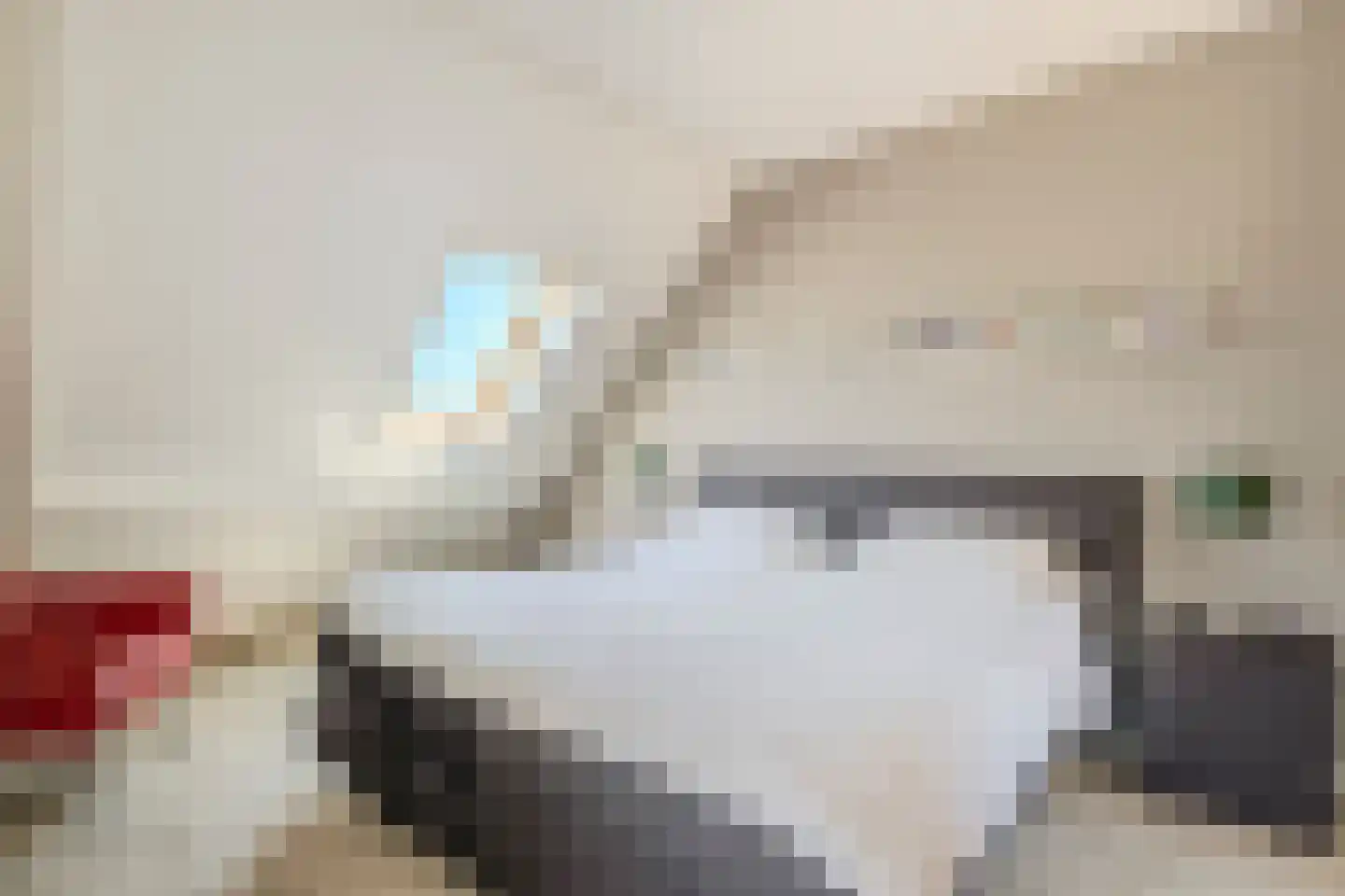 Voldijkje 25 Goirle thumbnail 26