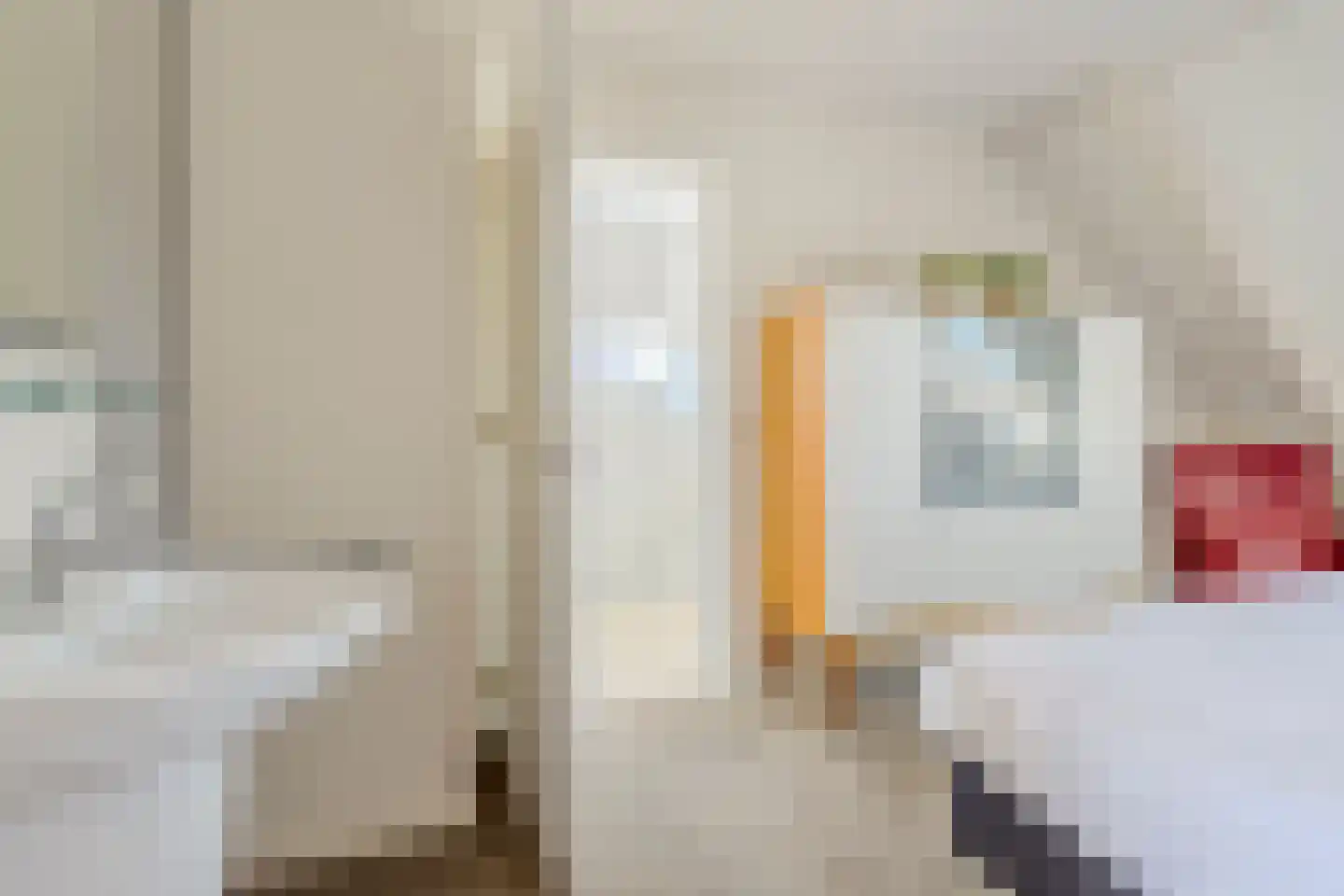 Voldijkje 25 Goirle thumbnail 28
