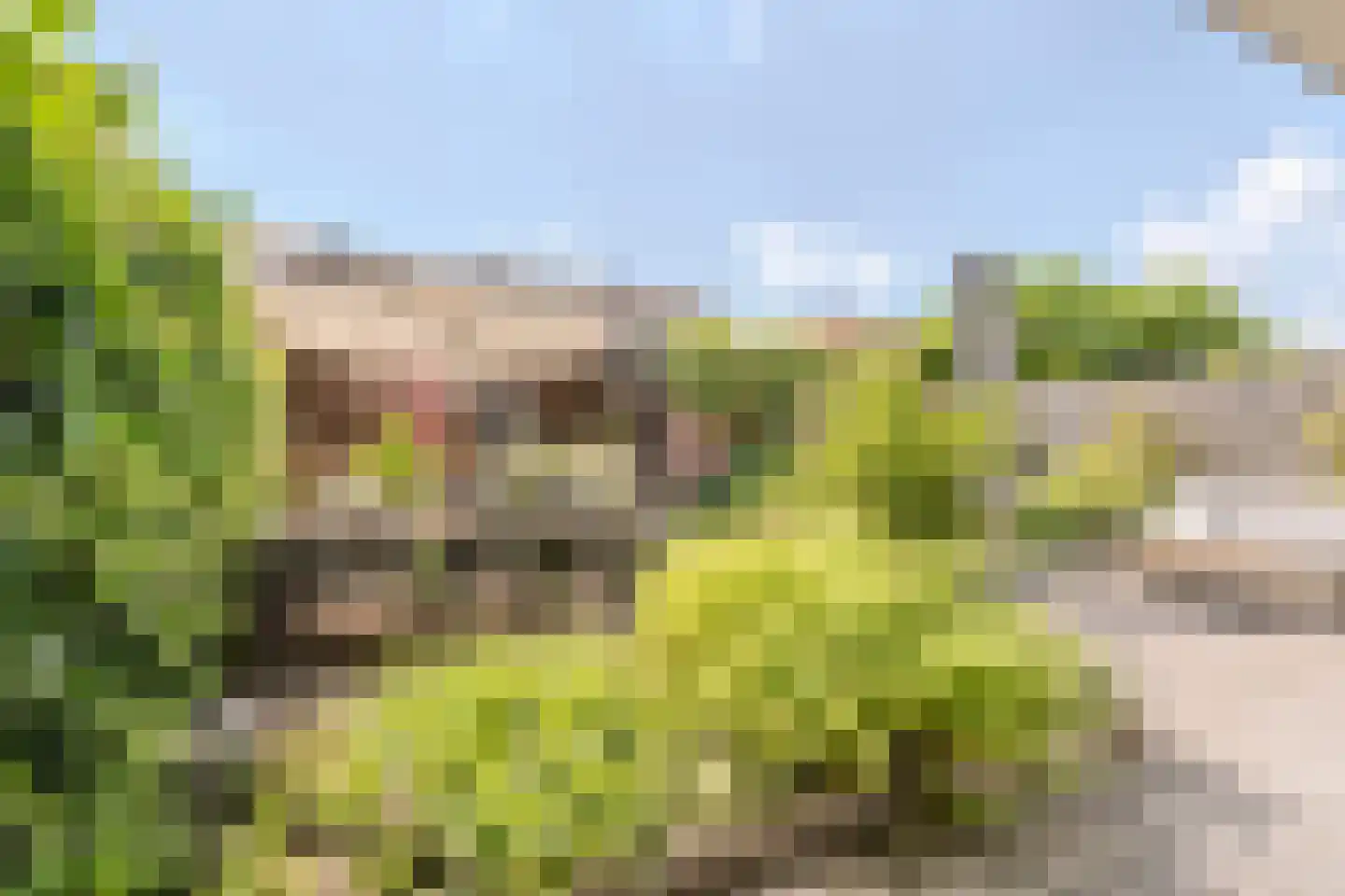 Voldijkje 25 Goirle thumbnail 31