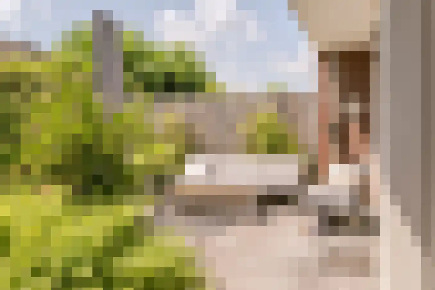 Voldijkje 25 Goirle thumbnail 32