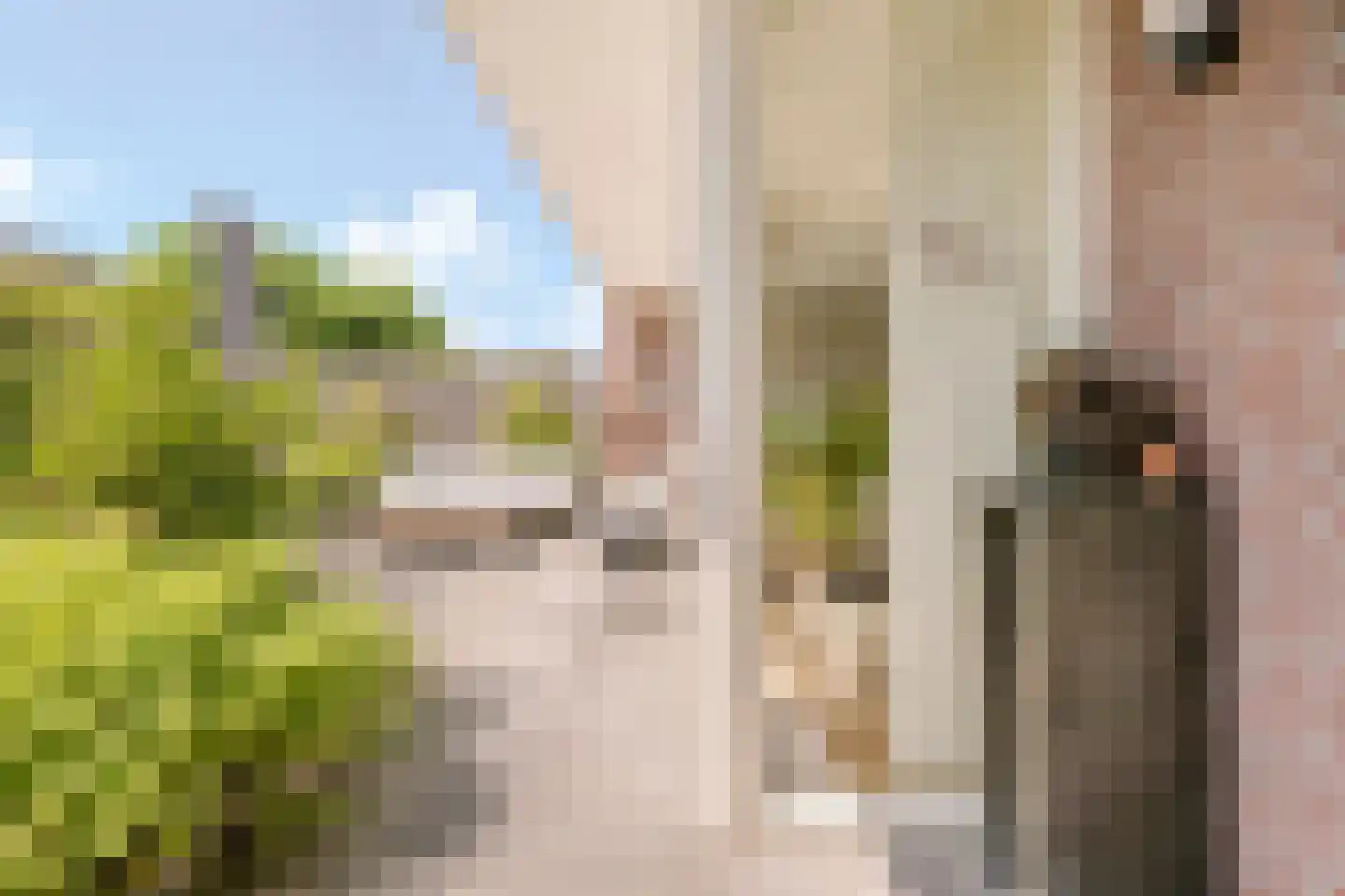 Voldijkje 25 Goirle thumbnail 33