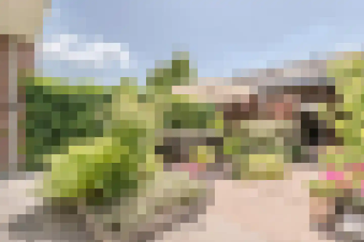 Voldijkje 25 Goirle thumbnail 34