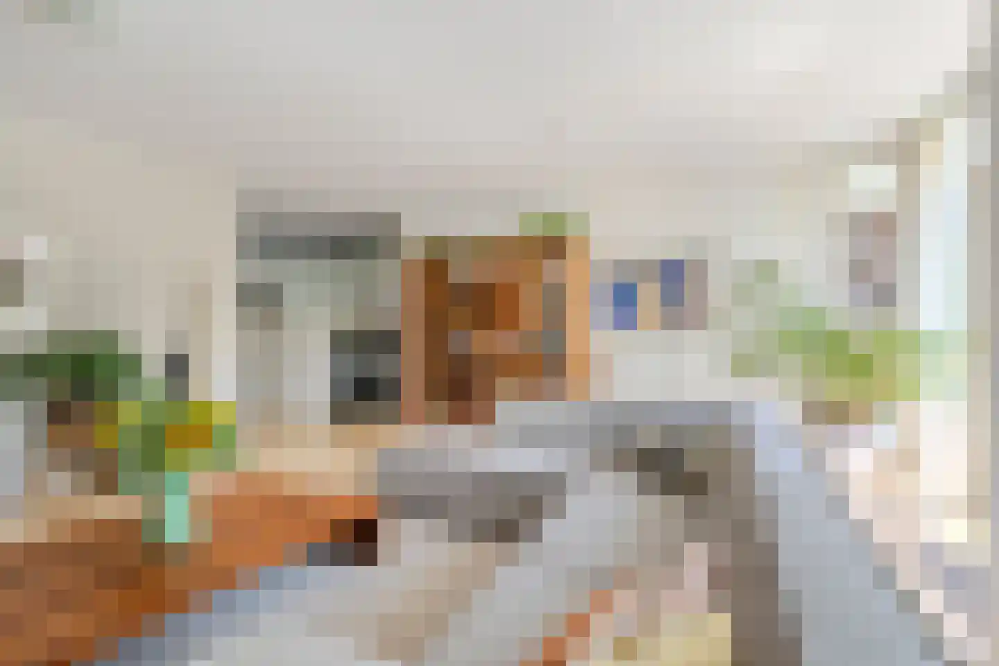 Voldijkje 25 Goirle thumbnail 7