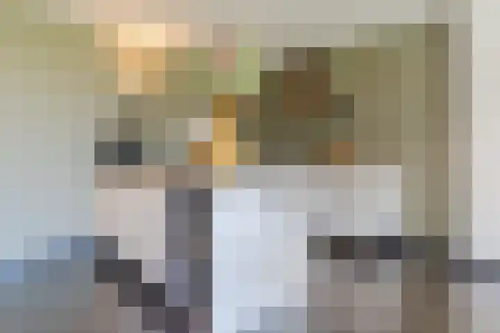 Voldijkje 8 Goirle thumbnail 12