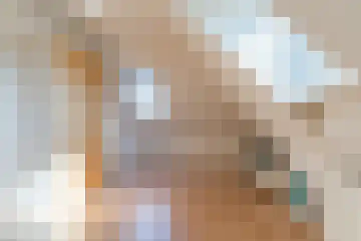 Voldijkje 8 Goirle thumbnail 26
