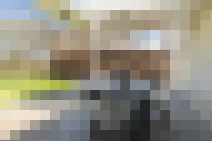 Voldijkje 8 Goirle thumbnail 33