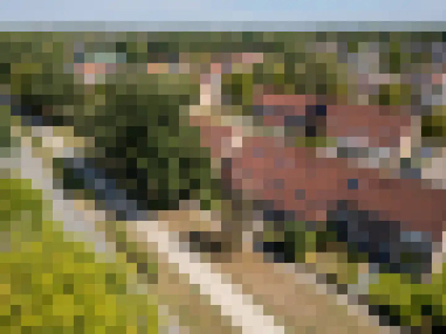 Volenbeekweg 83 Ermelo thumbnail 7