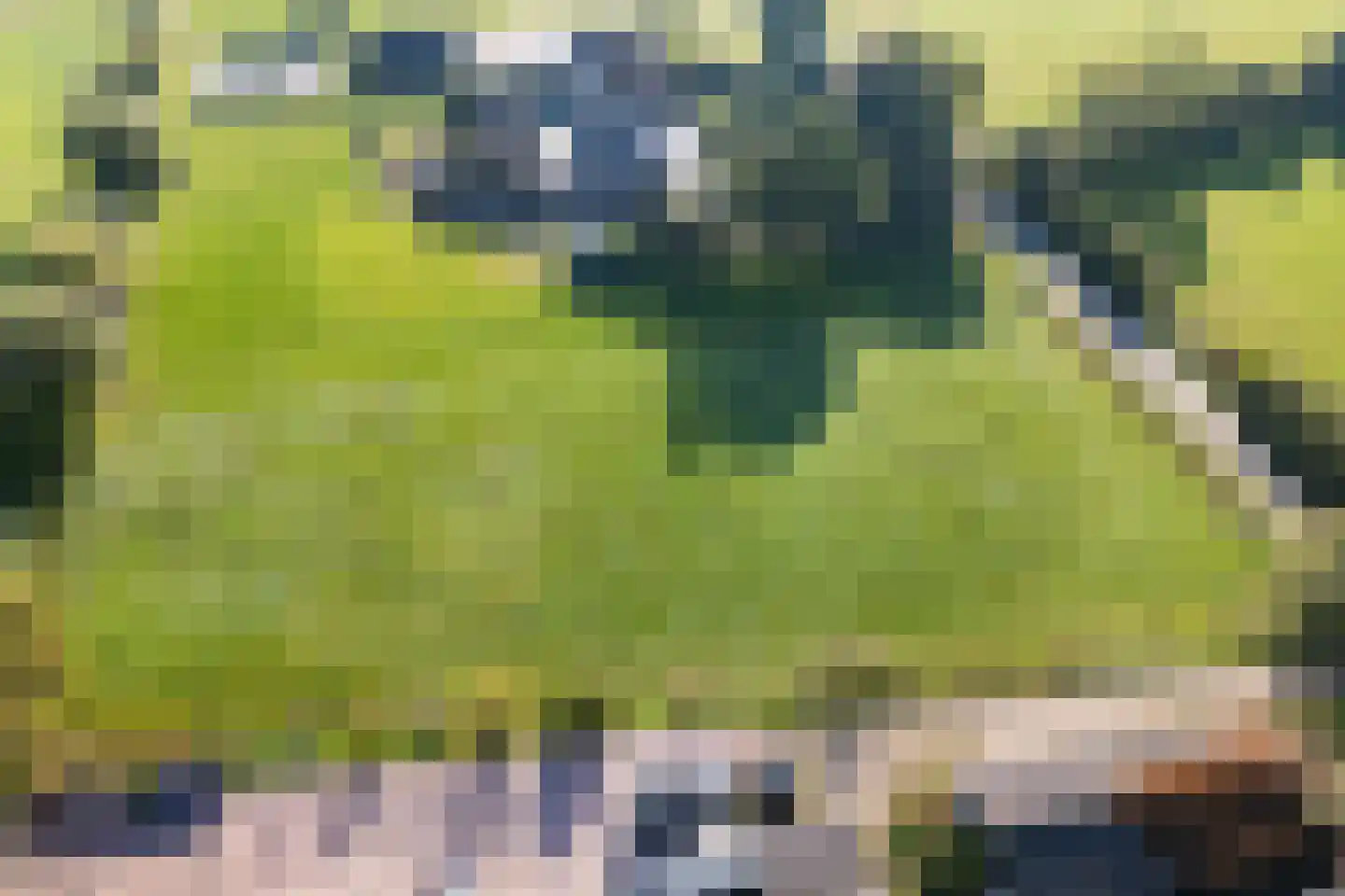 Volenbekerweg Putten thumbnail 18