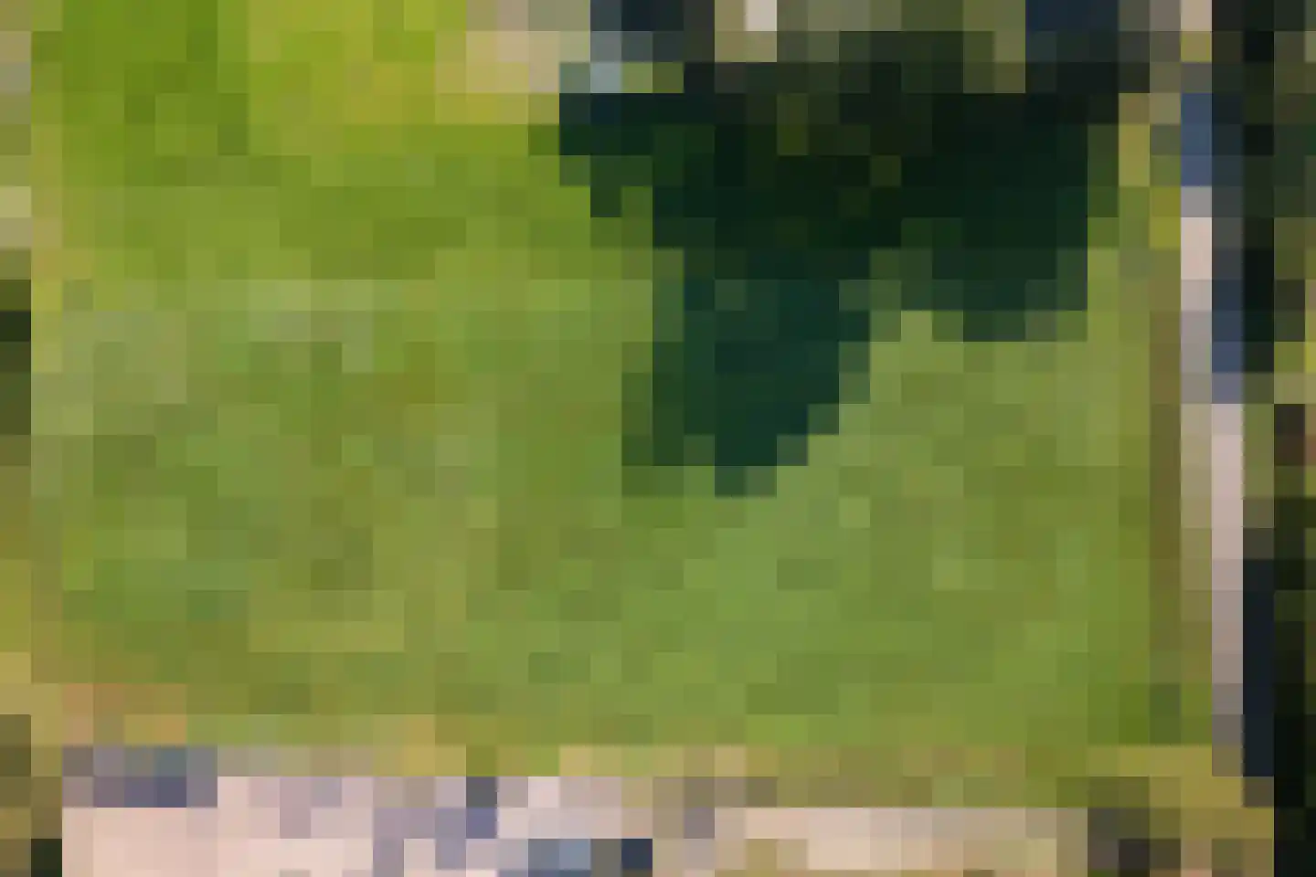 Volenbekerweg Putten thumbnail 19