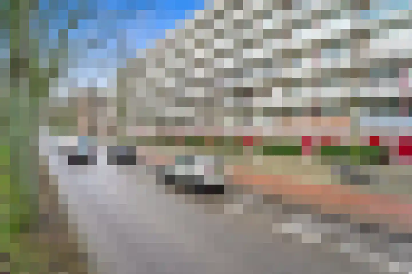 Volendamlaan 1018 Den Haag thumbnail 24